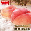 桃 送料無料 『 【 青森名産 】 津軽の白桃 』 5kg ...