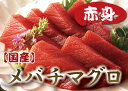 【業務用】国産メバチマグロ(赤身) 【めばち・まぐろ・鮪】【楽ギフ_のし】【東北復興_青森県】【RCP】【10P30Nov13】