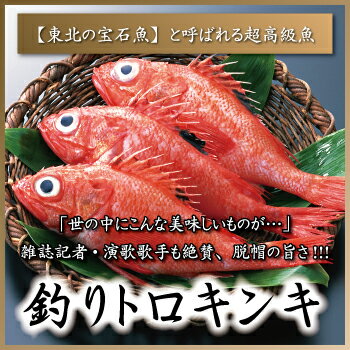 きんき キンキ 『 釣りトロキンキ/1kg前後 』 きちじ キチジ 吉次 きんきん キンキン 金々 めんめ メンメ