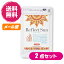 【ポイント2倍】【ママ割9倍】お得な2個セット Reflect Sun(リフレクトサン) 60粒