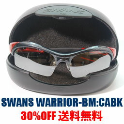y[zXYEEHA[ΐɃvgpfyzSWANS WARRIOR-BM color:CABK(281)