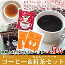 【お得なクーポン配布中】福袋 ドリップバッグコーヒー カレル...