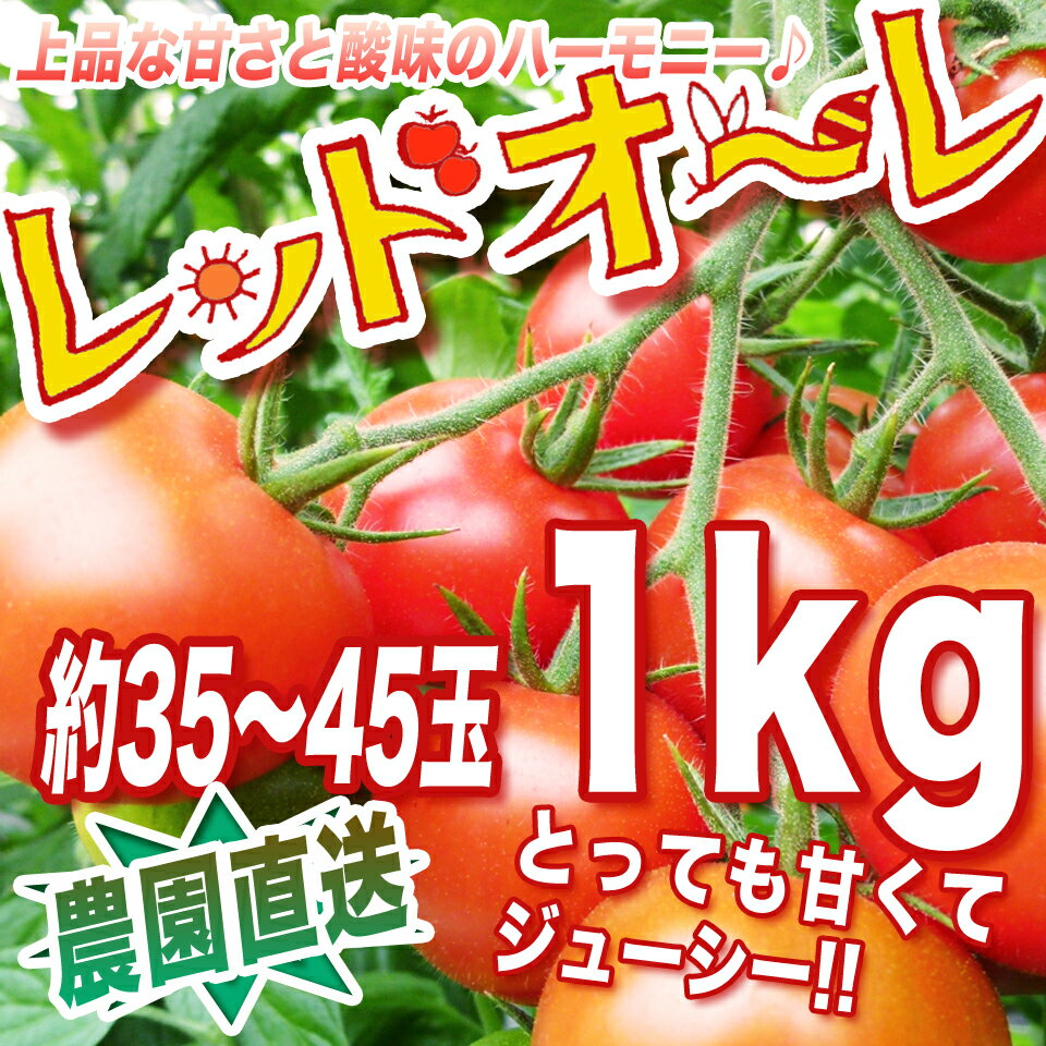 【農家直送】リコピン、ミネラルたっぷりの濃赤フルーツミディー・もぎたて・レッドオーレ！1k…...:megumi-farm:10000000