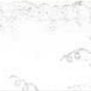 【テーブルクロスSG　ブドウ　ENC120　1.5×1.5m　ホワイト 10個セット 】【代引不可】【業務用】【送料無料】
