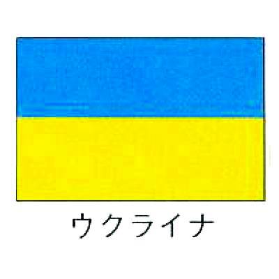 旗　世界の国旗　ウクライナ　70×105 【業務用】楽天店のみ【送料無料】