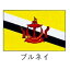 旗　世界の国旗　ブルネイ　70×105【smtb-TK】