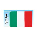 テトロン世界の国旗 イタリア