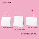 丸ひもタイプ 白無地 30×15×22 200枚【店舗什器 小物 ディスプレー ギフト ラッピング 包装紙 袋 消耗品 店舗備品】
