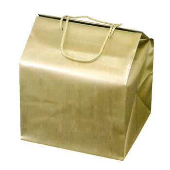 ڽȢͽ󳫻ϡʡۡڼեХåɡ硡8.09.0ѡ