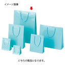 ブライトバッグ アサギ 33×10×45 150枚【店舗備品 包装紙 ラッピング 袋 ディスプレー店舗】
