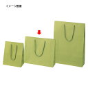 【まとめ買い10個セット品】 カラー手提げ紙袋 ヒワ 33×10×29 100枚【店舗什器 小物 ディスプレー ギフト ラッピング 包装紙 袋 消耗品 店舗備品】