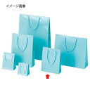 ブライトバッグ アサギ 18.5×6.5×24 50枚【店舗什器 小物 ディスプレー ギフト ラッピング 包装紙 袋 消耗品 店舗備品】