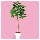 ¡Ú¤Þ¤È¤áÇ㤤10¸Ä¥»¥Ã¥ÈÉÊ¡Û ¥¢¥ë¥Æ¥·¥Þ H180cm ¸÷¿¨ÇÞÉÕ¤1Âæ ¡Ú¿ß˼´Û¡Û