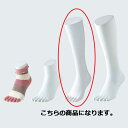 5本指ソックス用ディスプレー 婦人ハイソックス用【店舗什器 小物 ディスプレー ボディ マネキン 店舗備品】【厨房館】