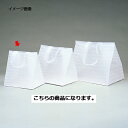 【まとめ買い10個セット品】 フロストバッグ マチ幅ワイドタイプ 27×21×28 20枚【店舗什器 小物 ディスプレー ギフト ラッピング 包装紙 袋 消耗品 店舗備品】【厨房館】
