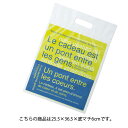 ブルー&グリーン25.5×36.5×マチ6cm100枚 レジ袋【 ラッピング用品 レジ袋・ポリ袋 スクエアバッグ(柄入り) ポリ袋ハード型 ブルー&グリーンヘッズ ニューブルー&グリーンPEバッグ 】【厨房館】