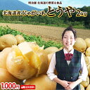 じゃがいも 2kg とうや 送料無料 1,000円ポッキリ! 北海道産 羊蹄山麓産 M〜L サイズ