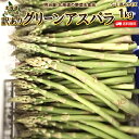 わけありアスパラ 送料無料 1kg S-Lサイズ混み 北海道 ニセコ産 低農薬栽培 グリーン