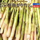 たけのこ 送料無料 根曲がり竹 2kg 生 北海道産 天然 春の山菜 タケノコ たけのこ 冷蔵便 筍