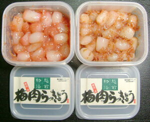 梅肉らっきょう 送料無料 お試し少量品 かつお&ストレートの2風味入(ジッパー袋入の簡易包装)福井県産のラッキョウ漬けと梅を使った当店オリジナル風味食感が美味しい らっきょうと梅肉のコラボ 送料込 価格ポイント10倍 10倍ポイント 10P25Jun12 お中元