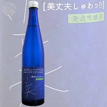 ≪四国地方高知県の地酒≫≪日本酒≫　【クール便にてお届け】　美丈夫　しゅわっ　吟醸酒　500ml　：びじょうふ