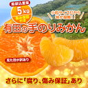 訳あり 有田 手のりこつぶみかん 5kg 蜜柑 ミカン 5.0kg 最高糖度(傷み保証有)小粒サイズ(2S SS ひとくちサイズ) 送料無料(北海道・沖縄・一部離島+500円) 和歌山県 有田市 みかん 敬老の日 2017 小粒 大粒 大玉 小玉 蜜柑 ミカン set セット