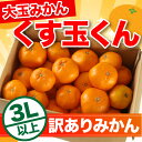 【送料無料】大玉みかん【くす玉くん】がいっぱい入っ