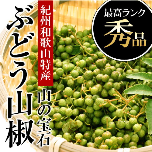 【2017年の実山椒 予約】（クール便配送）山椒の実（生）紀州和歌山特産 山の宝石 国産ぶ…...:melimelo:10000105