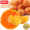 【訳あり】 有田 手のりこつぶみかん 20kg 蜜柑 ミカン...