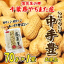 はじめての方限定 落花生 やちまた産 八街 殻付き 中手豊 なかてゆたか 70g×1袋 正規品 千葉 ピーナッツ 全国送料無料 メール便 ポスト投函