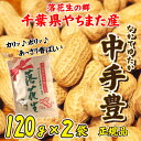 落花生 やちまた産 八街 殻付き 中手豊 なかてゆたか 120g×2袋 クラフト袋 正規品 千葉 ピーナッツ 全国送料無料