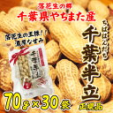 落花生 やちまた産 八街 殻付き 千葉半立 ちばはんだち 70g×30袋 正規品 ピーナッツ 送料無料