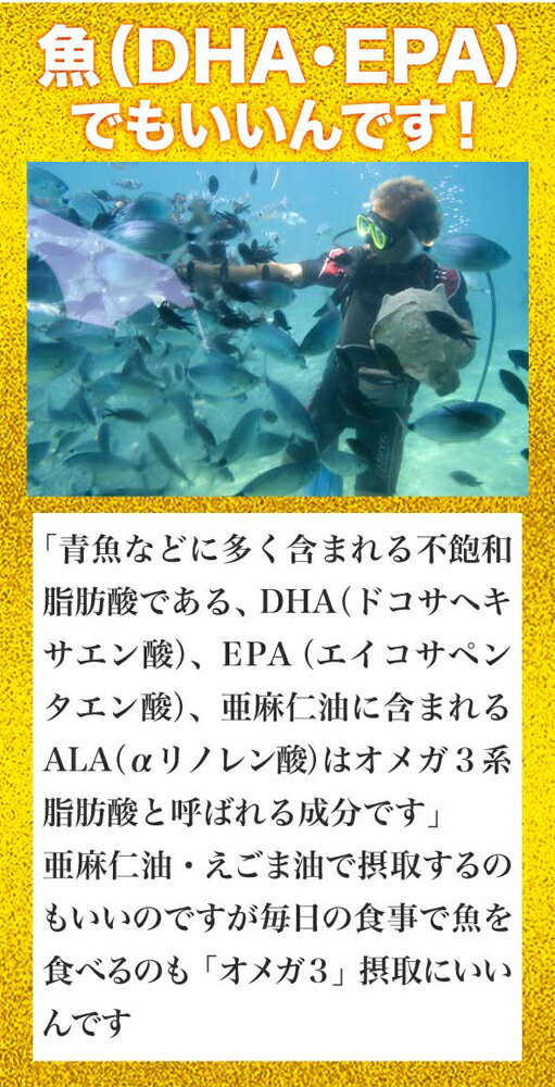 【送料無料】お得な2袋セット 約半年分たっぷりオメガ3サプリメント 180粒 DM便 02P28Sep16