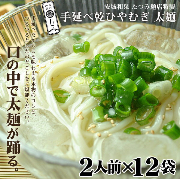 たつみ麺店　手延べ乾ひやむぎ2人前×12袋【常温保存】 【美味しい手延べひやむぎ】【のどごしが特徴のひやむぎ】【コシが特徴のひやむぎ】】