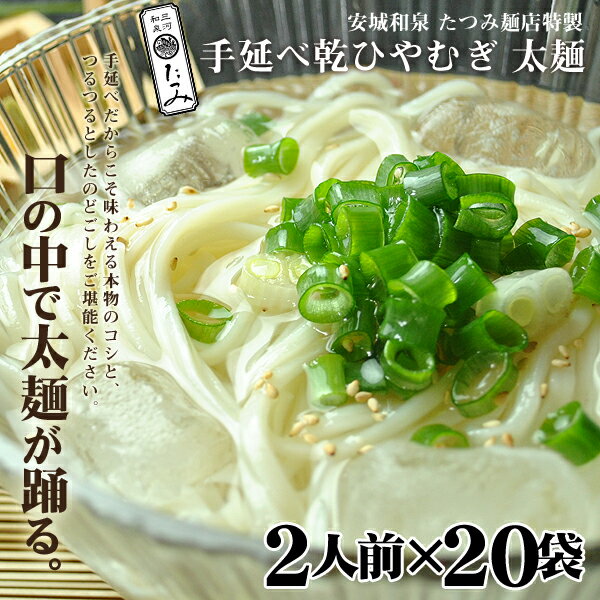 たつみ麺店　手延べ乾ひやむぎ2人前×20袋【常温保存】 【美味しい手延べひやむぎ】【のどごしが特徴のひやむぎ】【コシが特徴のひやむぎ】】