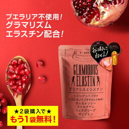 【21日23___59まで！2個購入で＋1個無料！】 エラスチン 【グラマラスエラスチン】 産後 育乳 産後ケア プラセンタ サプリ コラーゲン ワイルドヤム <strong>チェストツリー</strong> ザクロ ポリフェノール ポリアミン 鉄含有酵母 フェヌグリーク ハリ 国内生産