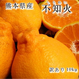 【 訳あり <strong>不知火</strong> 10kg 】<strong>不知火</strong> <strong>熊本</strong>県産 <strong>デコポン</strong> プレゼント ギフト 内祝 <strong>熊本</strong> しらぬい ミカン みかん 河内 箱買い お彼岸 まとめ買い かんきつ