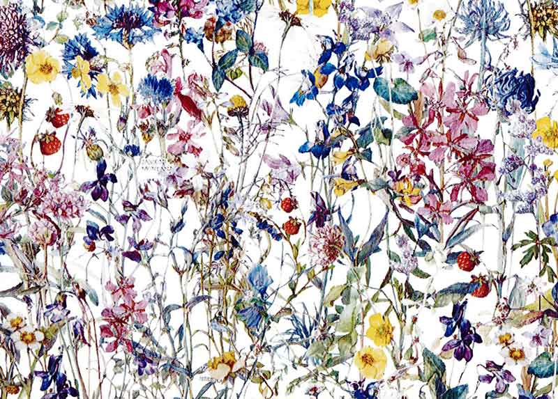 LIBERTYoeBvgEY~l[g(rj[R[eBOn)Wild Flowers(ChEt[Y)MATLAMI3634251-14A oeB n