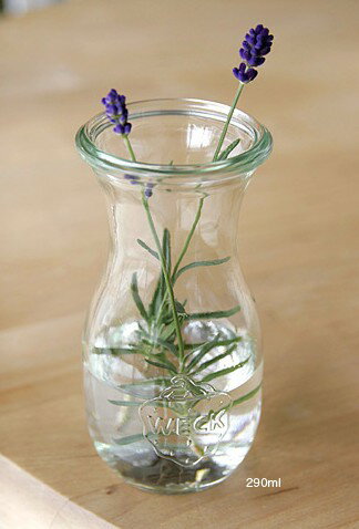 y3.150~ȏ̂グő(322()am 9:59܂)zyWECK/EFbNzJuice Jar S 290ml