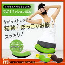 【5月 特価商品】 ながらクッションEXA(エクサ) WB4...