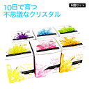 マジッククリスタル 6個セット Magic Crystal 10日で育つ不思議なクリスタル 手作りキ