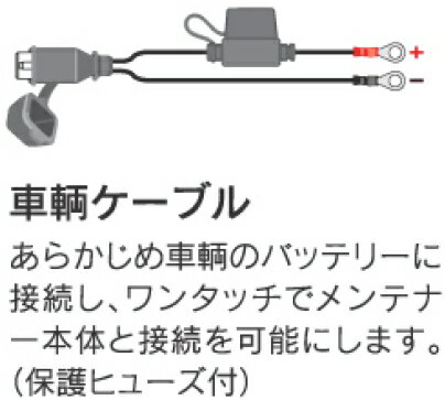 オプティメート バッテリーメンテナー用TM71車両用ケーブル