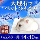 大理石でペットひんやり♪ 【ハムスター専用★デビューセット】白大理石【送料無料サービス品】石の種類はお任せ下さい。【SSサイズ】モルモット ジャンガリアン