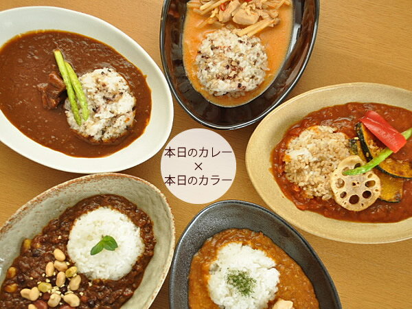 和食器　ナチュラルオーバルカレー＆パスタボウル＜5カラー＞　各色1枚ずつセット今だけ2,000円！期間：1/11（土）10:00〜1/13(月)23:59