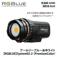 ダイビング ライト ストロボ RGBlue アールジーブルー System02(Ver.2)PREMIUM COLOR システム02バージョン2プレミアムカラー 水中ビデオライトの画像