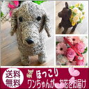 【送料無料】暑い時期!安心のクール便0円にアレンジ アレンジメントフラワー 【ペット 贈り物】【あす楽対応】【送料無料 フラワー】【楽ギフ_メッセ入力】【ペット お供え 】【犬】【イヌ】【ネコ】【うさぎ】【誕生日】【お祝】誕生日 花