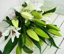 夏でも 長く楽しめる 大輪百合の花束 15輪以上(本数3?6本)【百合】「百合の花束」【ユリ】「ゆりの花束」【お祝】【誕生日】誕生日 花【敬老の日】【父の日】 「お供え 花」お供え花束 お供え花 【母の日】「誕生日」「歓送迎」【花束】【お供え】ユリの花束