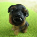 「ダックス」DOGマスコット いぬミニチュア【楽ギフ_包装】