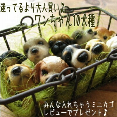 「DOGミニミニマスコット♪10犬種set」【送料無料】