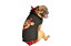 Devil Monkey Dog Hoodieデビル柄犬用フーディー